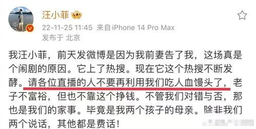 汪小菲发文爆料视频,揭秘背后惊人真相