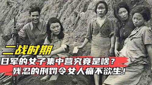 女子集中营在线观看,揭开历史阴影下的残酷真相  第2张